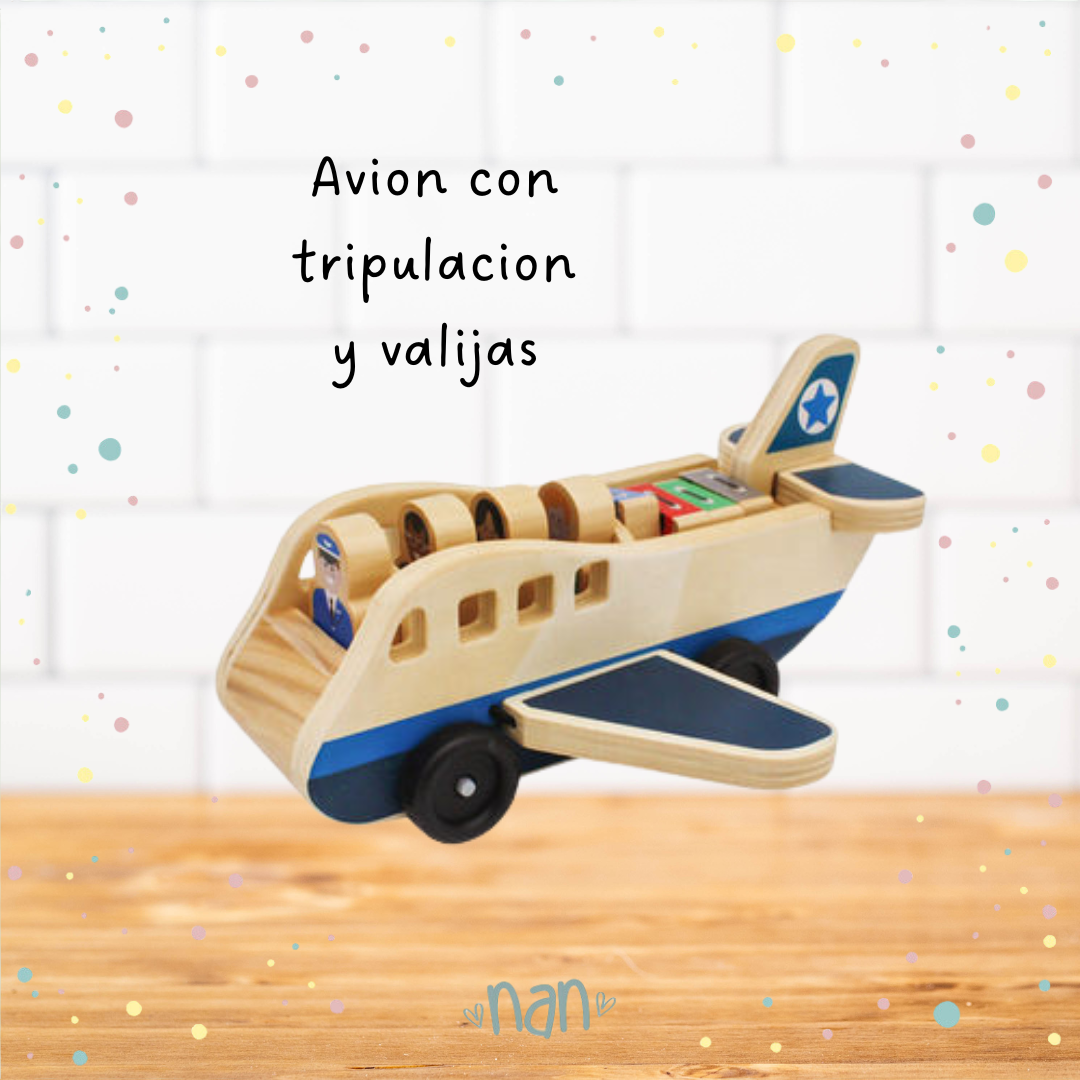 Avion con tripulacion y valijas